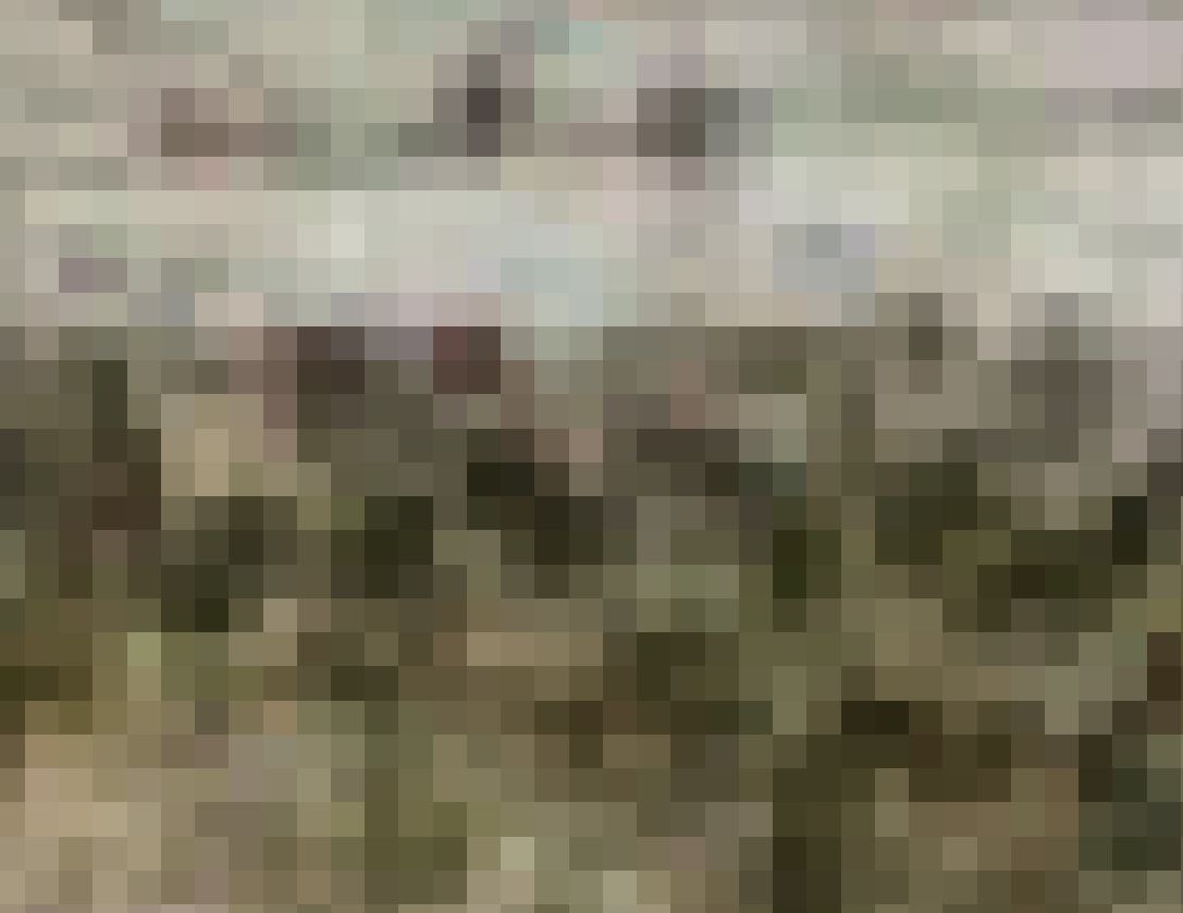 arcmap zoom.JPG